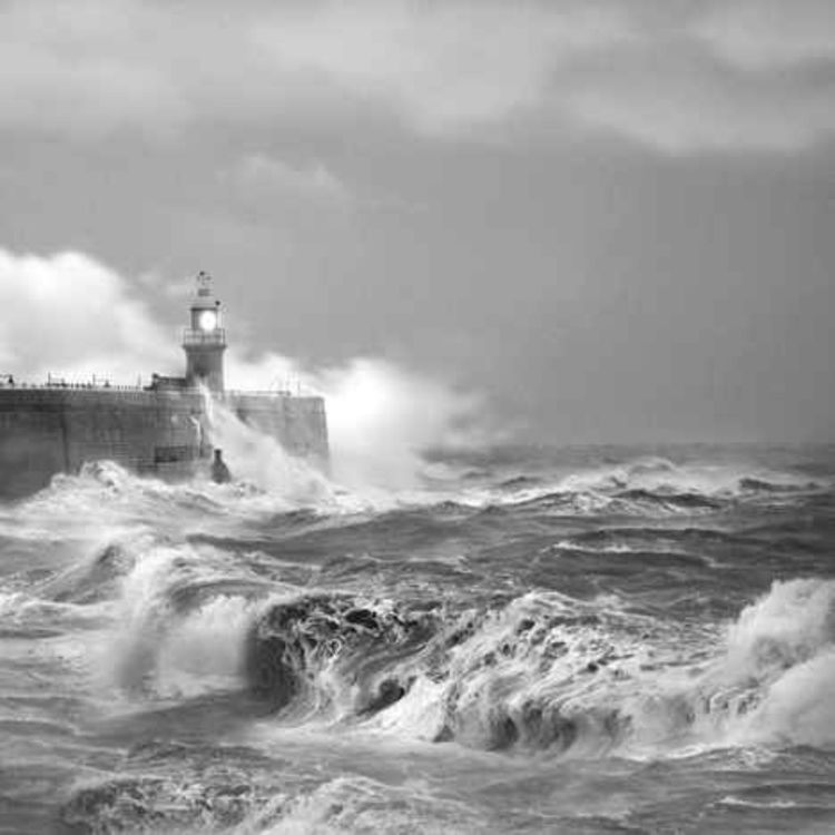 cover art for Hurricane Herman--The Wide Window Ch. 9