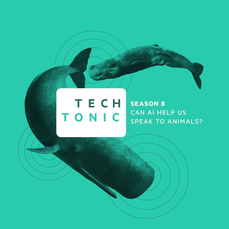 cover art for Coming soon: Can AI help us speak to animals?