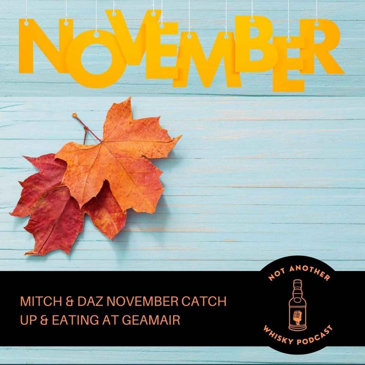 cover art for MITCH & DAZ NOVEMBER CATCH UP