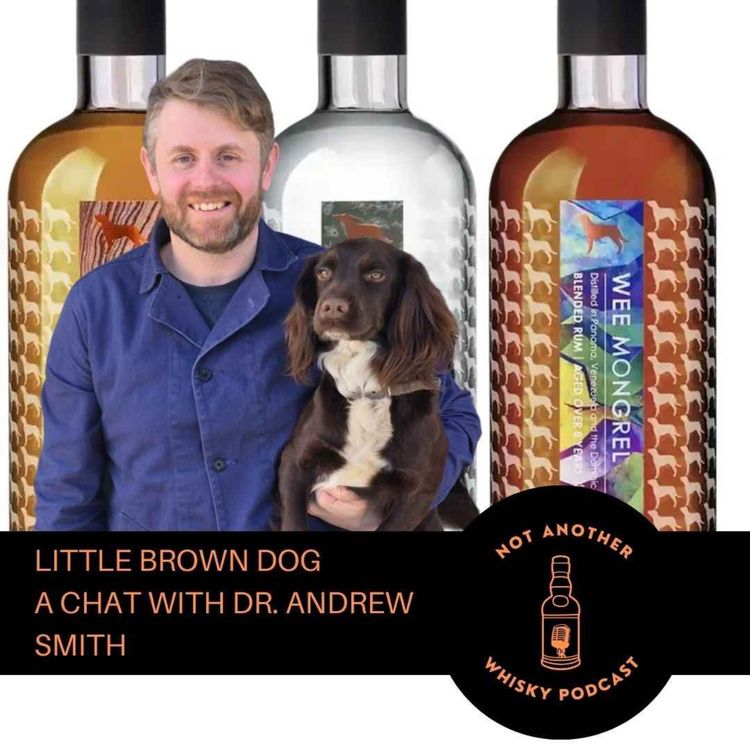cover art for LITTLE BROWN DOG - A CHAT WITH DR. ANDREW SMITH
