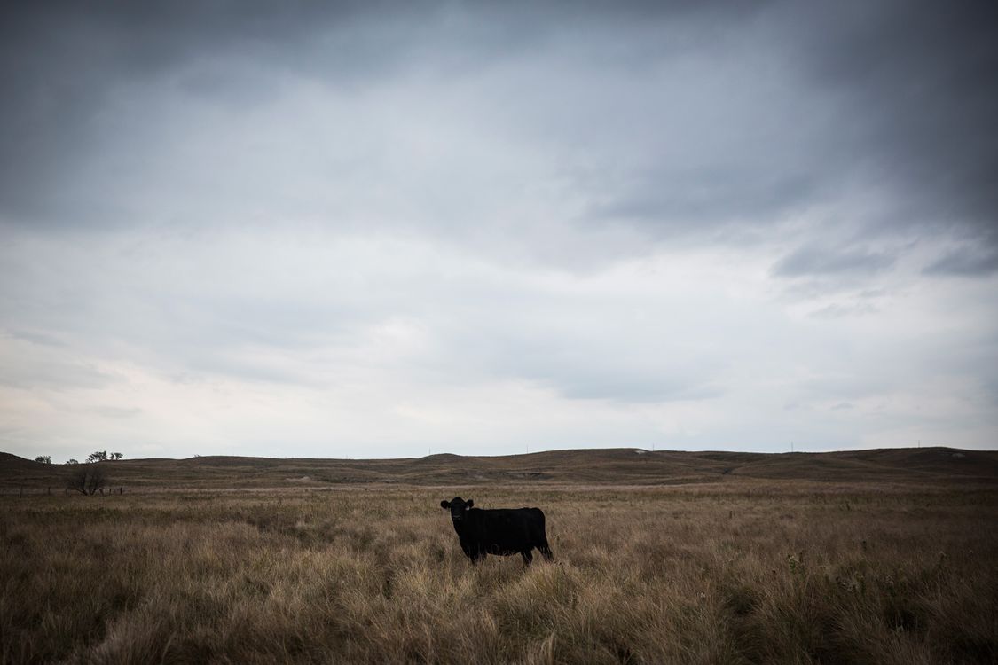 cover art for America's prairie tax haven