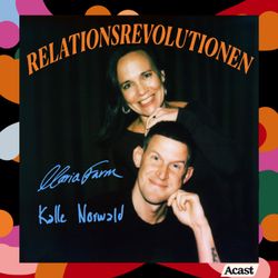 cover art for Relationsrevolutionen