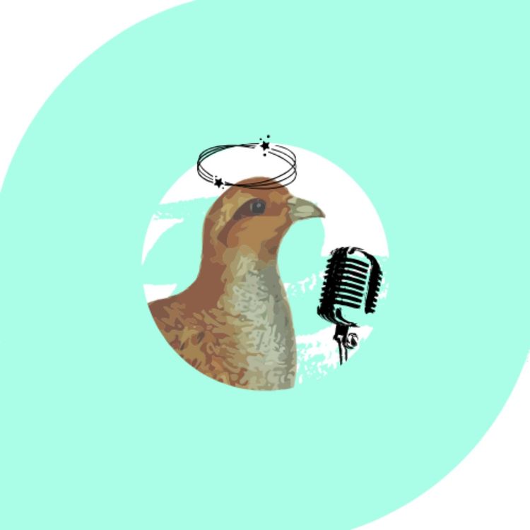 cover art for 01. ¿Qué es esto de las filonews?