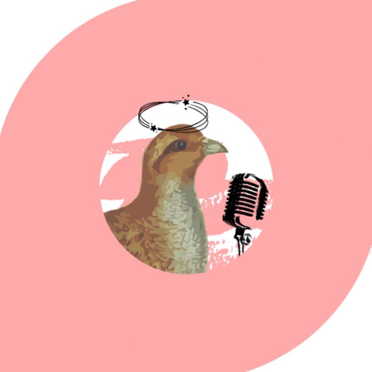 cover art for 05. El mareo informativo