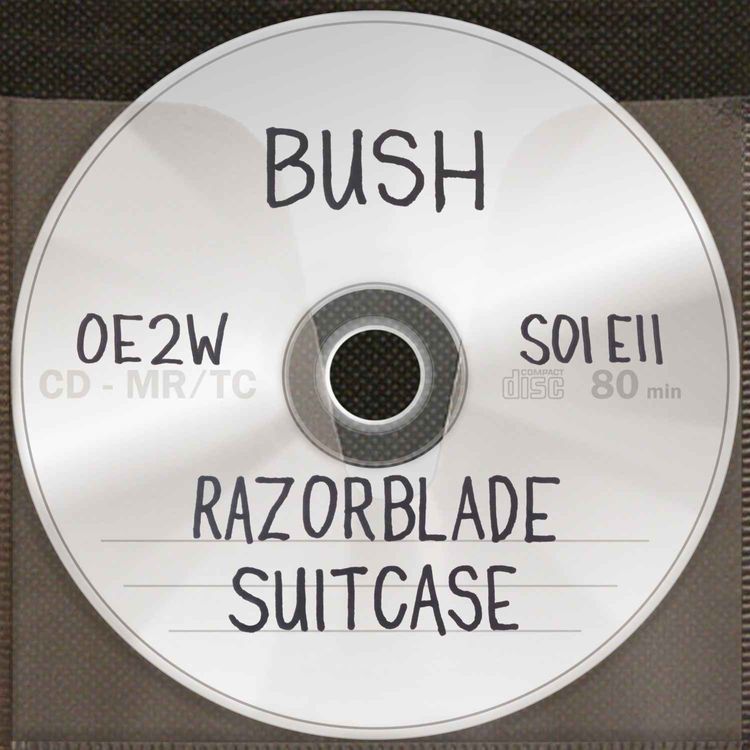cover art for Bush's Razorblade Suitcase 