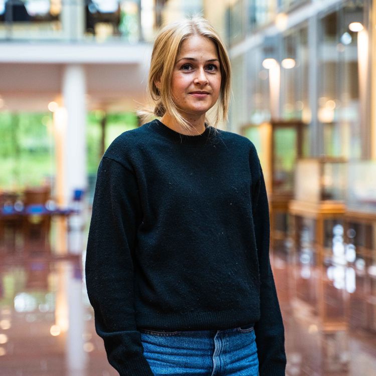 cover art for Stjerneskuddet Liv Ertzeid om kunstnerkarrieren