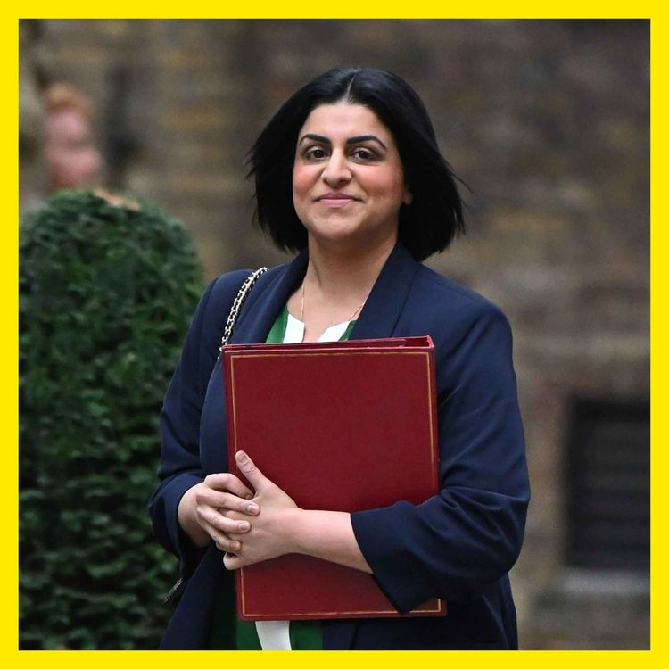 cover art for Mahmood vs the liberal luminaries