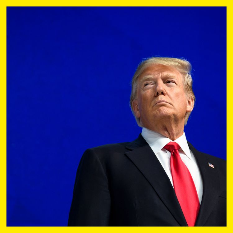 cover art for Widespread bafflement and anger