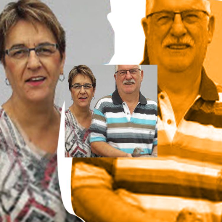 cover art for Beatrice Bowe case, the murder of the over possessive mother in law!