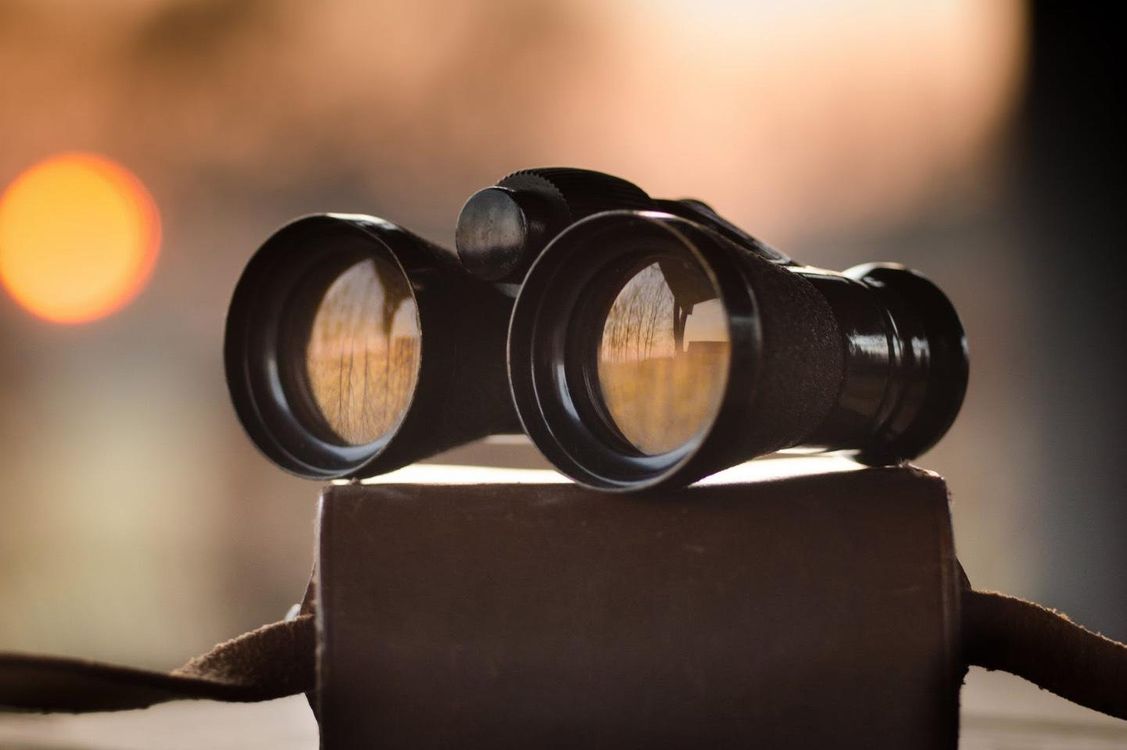 cover art for PT 3: How To Spot A Serial Killer In The Wild