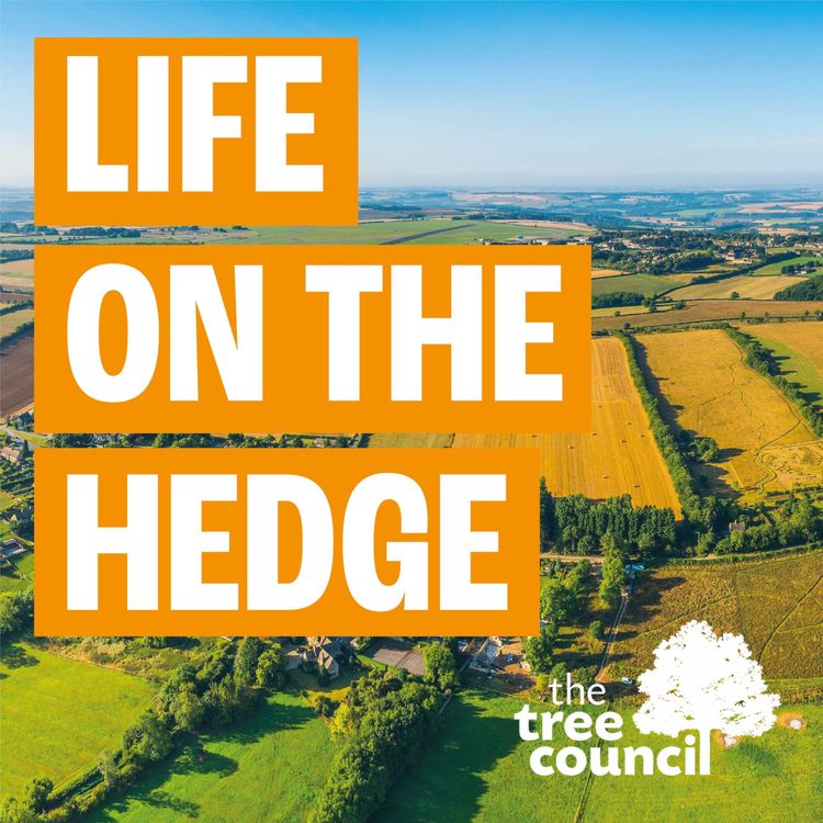 cover art for Life on the Hedge - Set off on a journey towards a blossoming career in nature