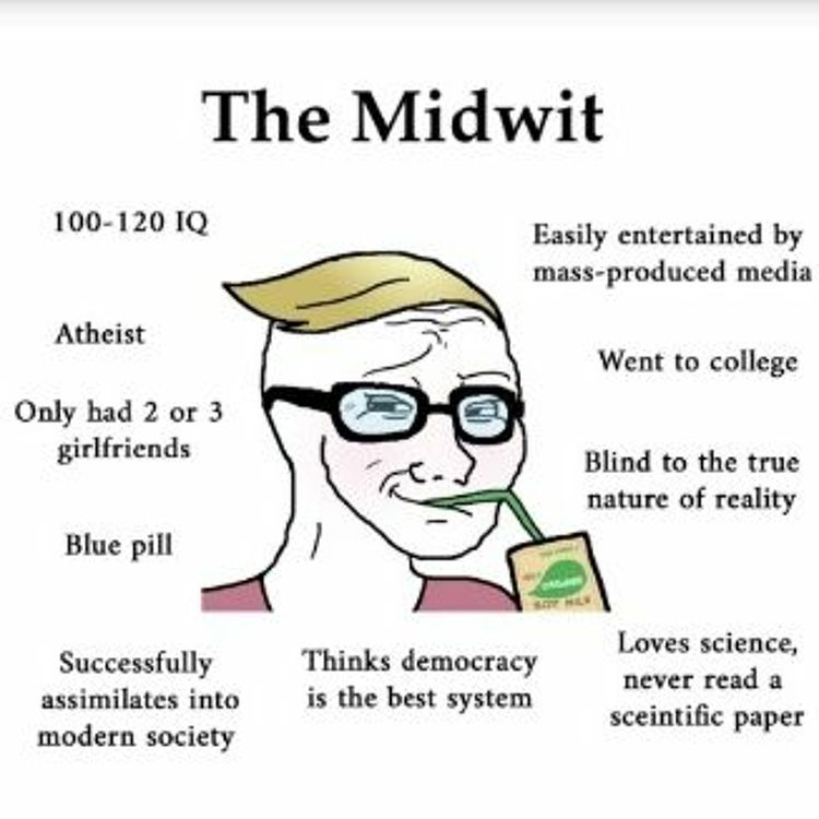 cover art for 'Midwits' Ss7Ep#40