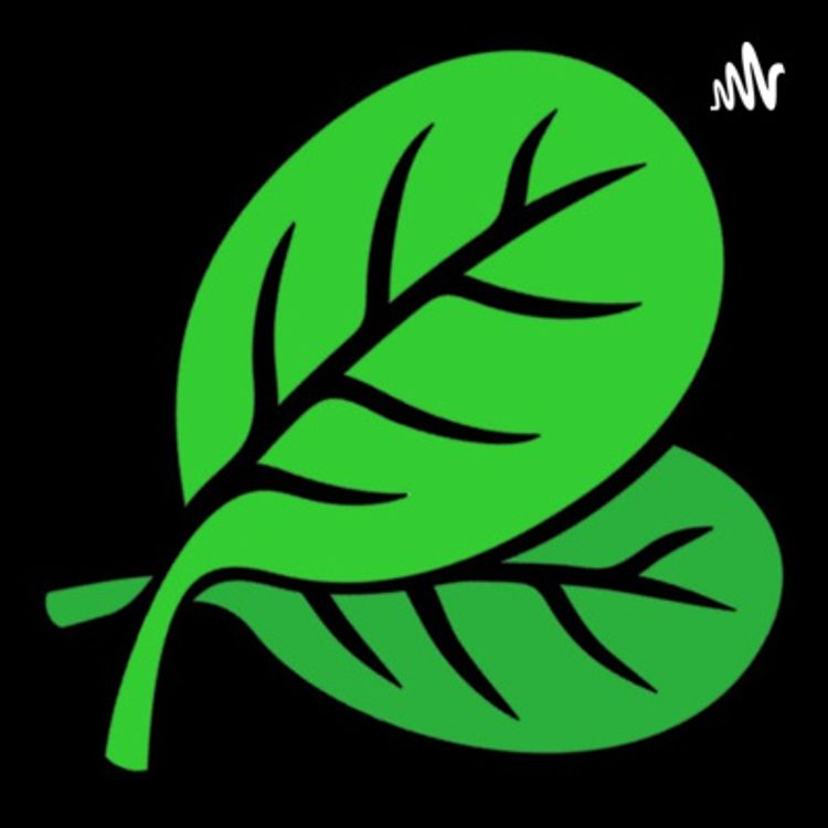 cover art for Món Ngon Mỗi Ngày Dễ Làm – Dễ Nấu – Dinh Dưỡng - DauBepGiaDinh