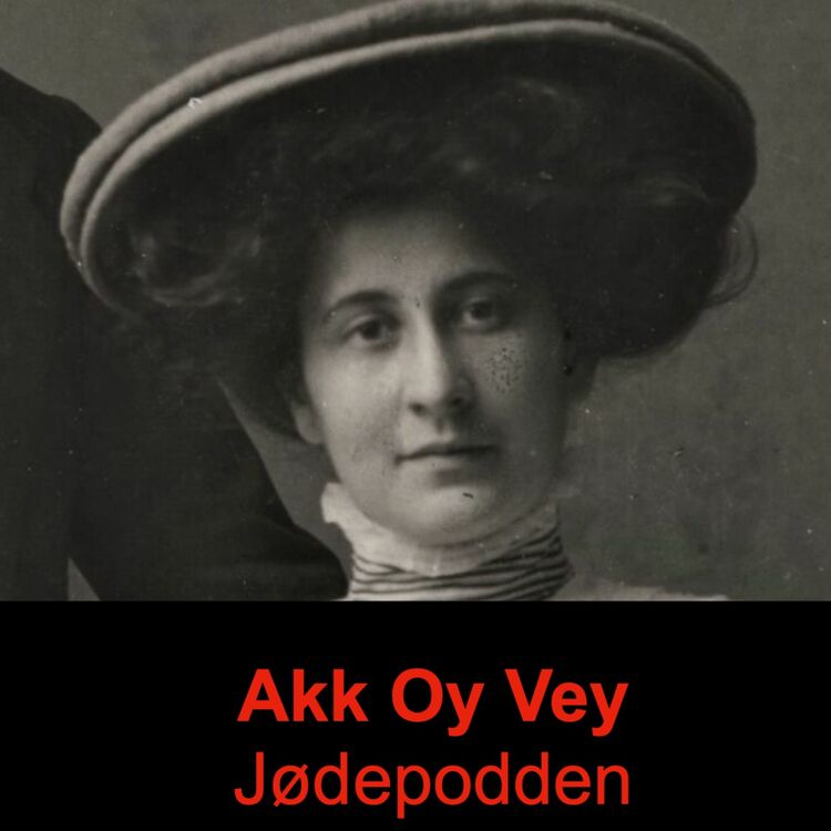 cover art for En jødinne i Bjørnsonfamilien