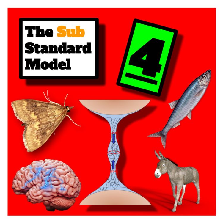 cover art for E4: Stringy Hybrid Moths