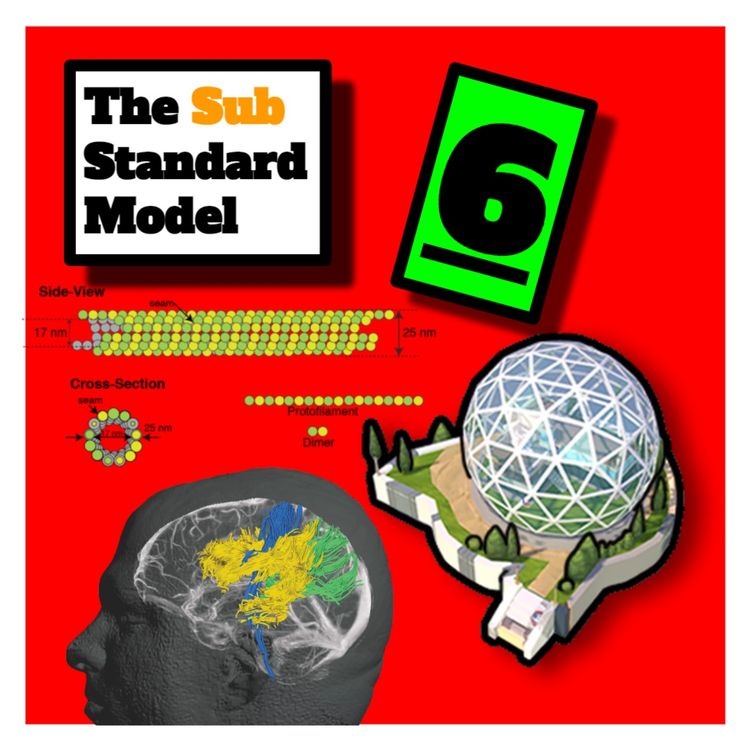 cover art for E6: Conscious Fish Bowls