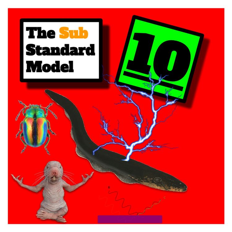 cover art for E10: Naked Copper Rainbows