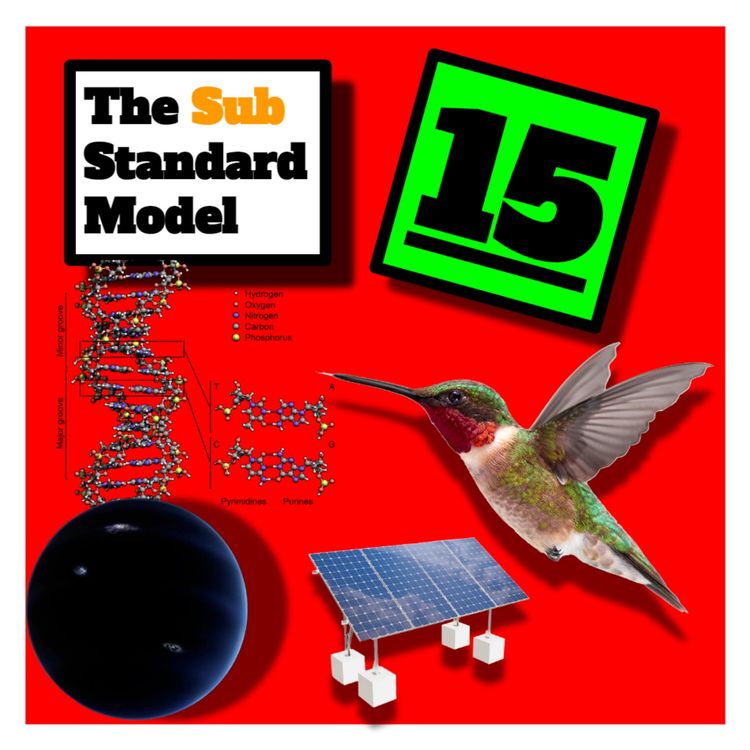 cover art for E15: Exo Solar Avians