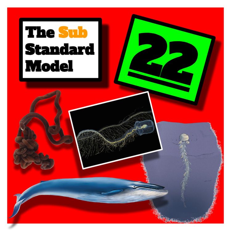 cover art for E22: Biggest Smallest Phyla