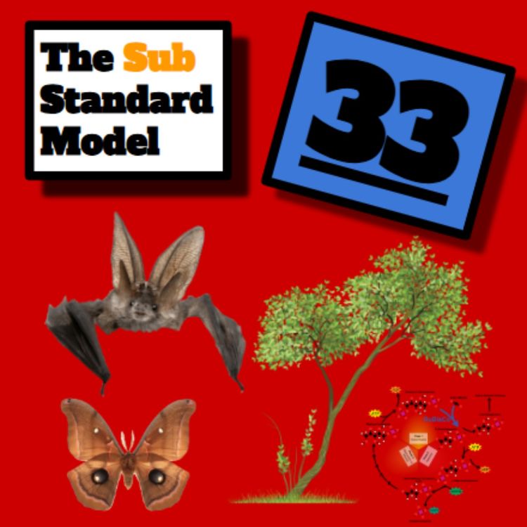 cover art for This Is A Story About Bat Poo