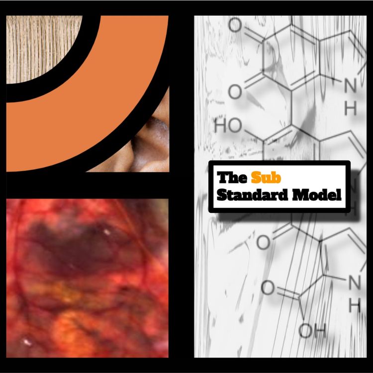 cover art for Something In The Orange: Melanin, Tartrazine & Albinism