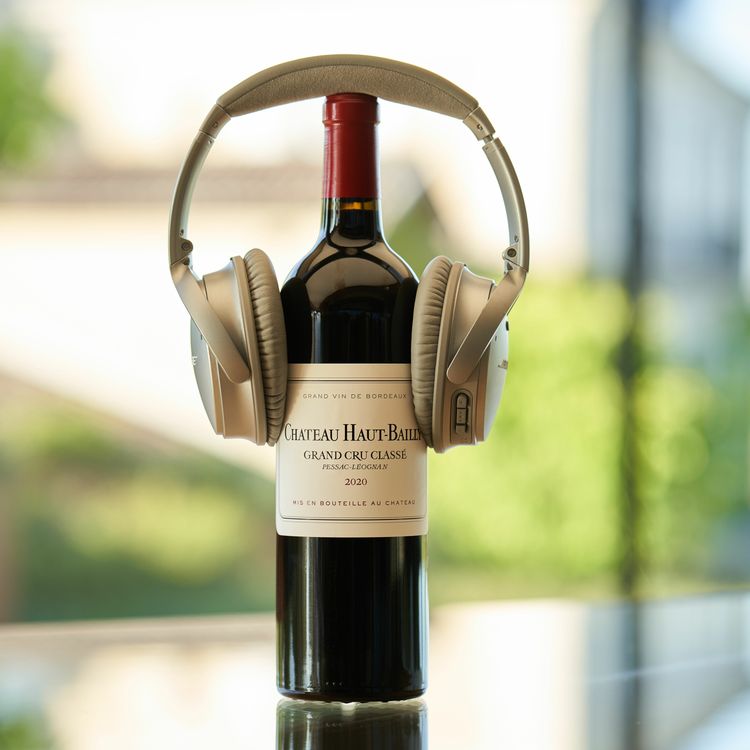 cover art for "Les Entretiens de Haut-Bailly" - Millésime 2020 x Axel Marchal