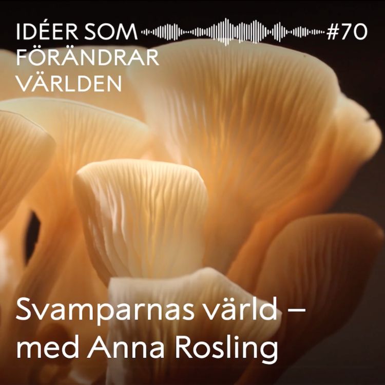 cover art for Svamparnas värld - med Anna Rosling