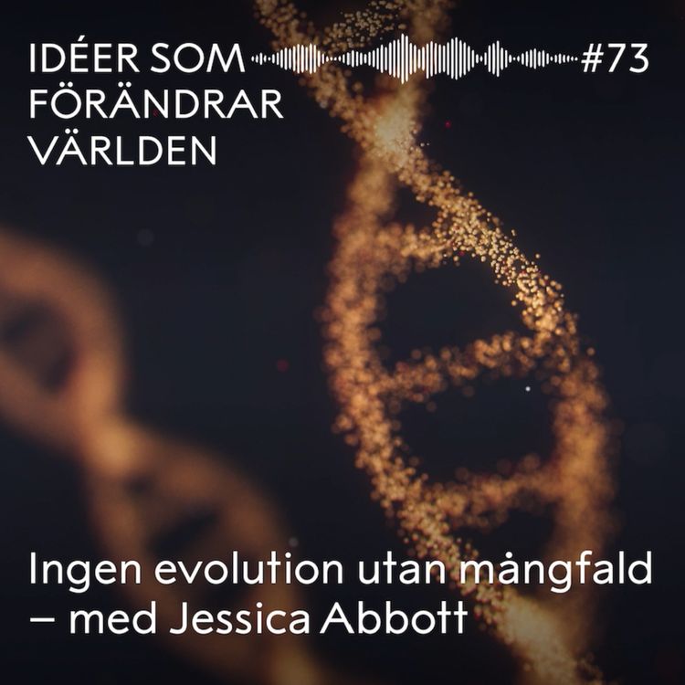 cover art for Ingen evolution utan mångfald – med Jessica Abbott