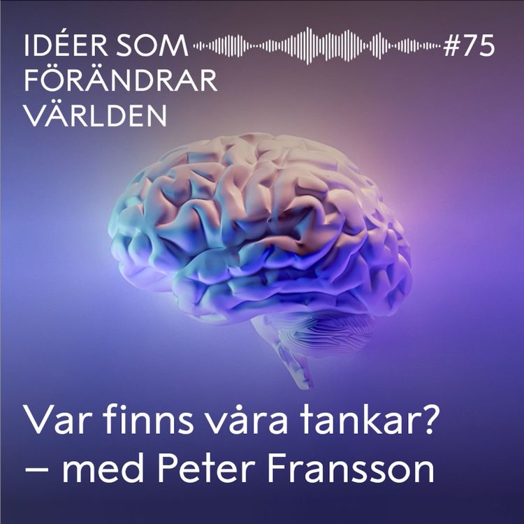 cover art for Var finns våra tankar? – med Peter Fransson 