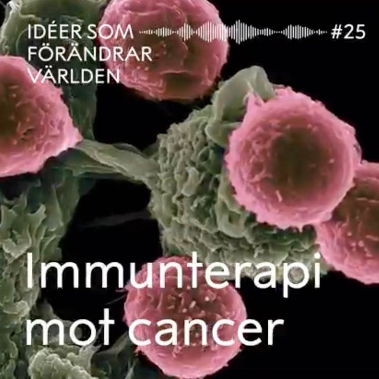 cover art for Immunterapi mot cancer – med Kristian Pietras