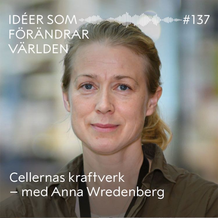 cover art for Cellernas kraftverk – med Anna Wredenberg
