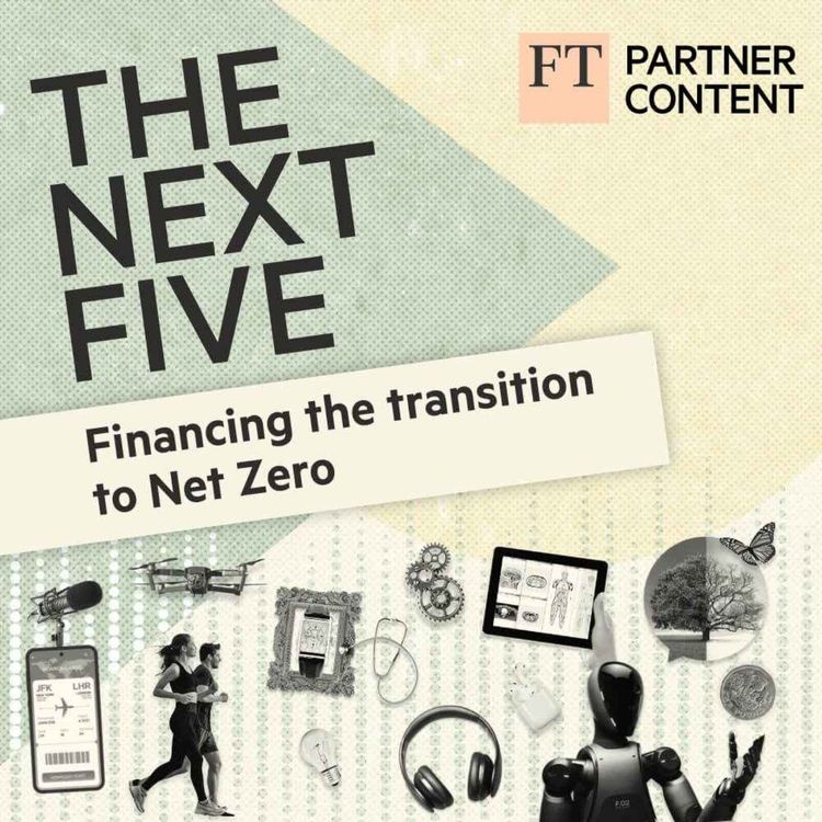 cover art for Financing the transition to Net Zero