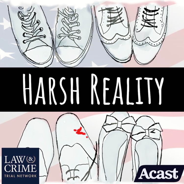 cover art for Harsh Reality