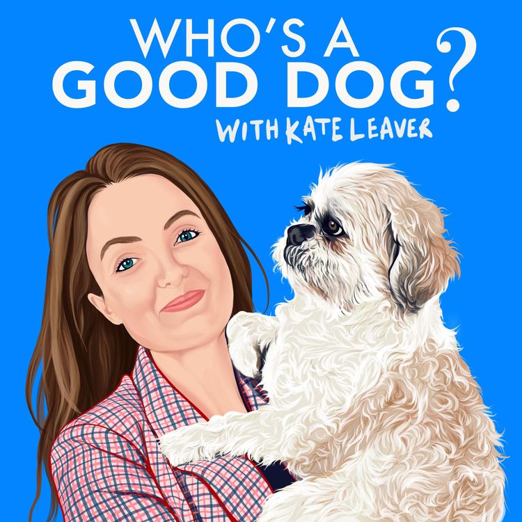 cover art for Jon Ronson with Josie & Floppy the dogs
