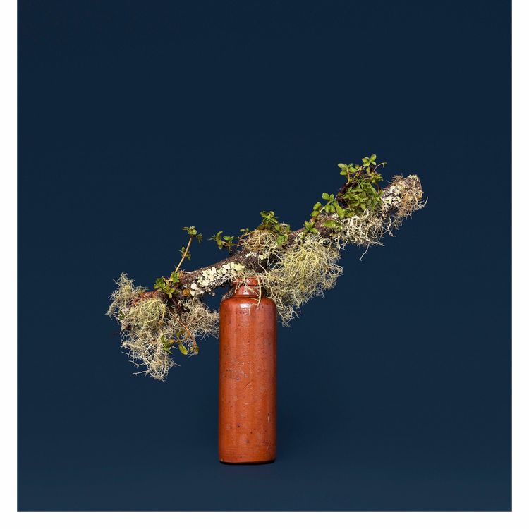 cover art for Conversations with New Zealand Photographers - Ann Shelton (av)