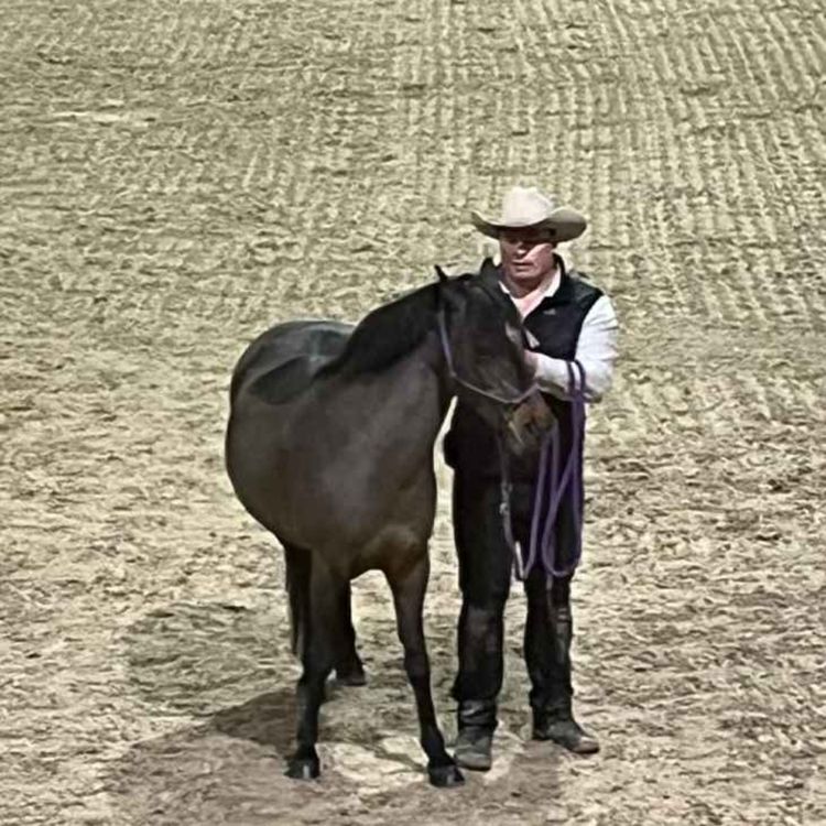 cover art for Gubben Med Hatten #19 - Trauma hästar & Jonnas rytterinsikt!.