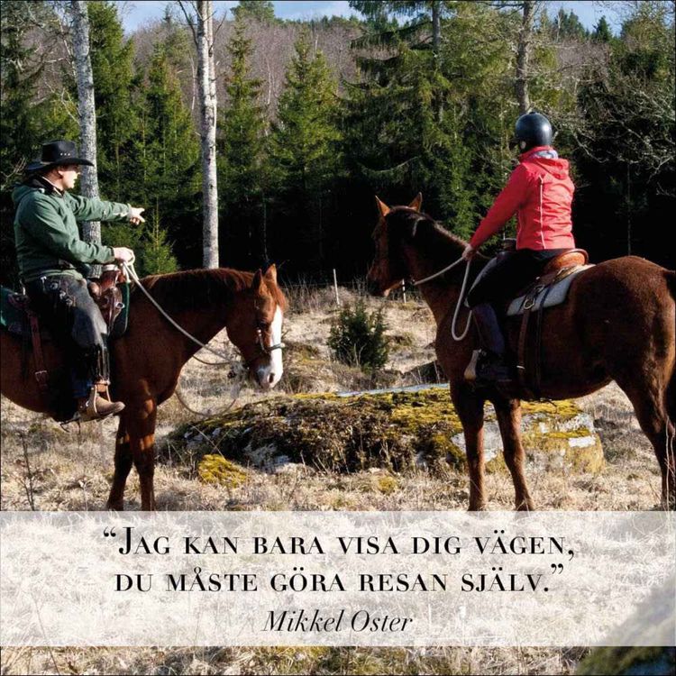 cover art for Gubben Med Hatten #25 - Hästtränare & Professionalism