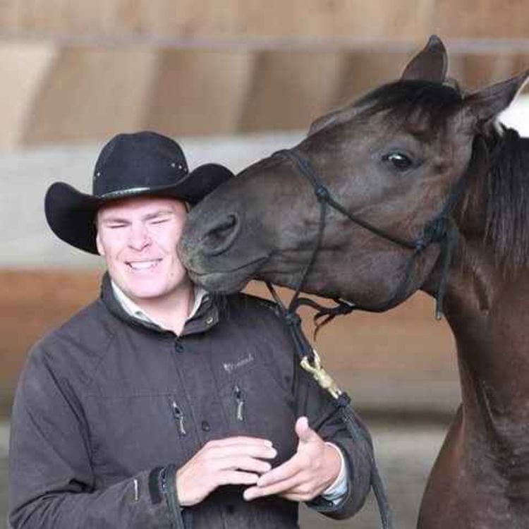 cover art for Gubben Med Hatten #35 - đïž NĂ€r gör vi övergrepp pĂ„ hĂ€star? â mer Ă€n vi tror