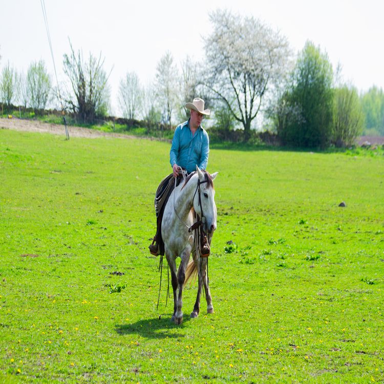 cover art for Gubben Med Hatten #38 - đïž GrundlĂ€ggande Ridning pĂ„ djupet â nĂ€r samtalet fortsĂ€tter frĂ„n marken