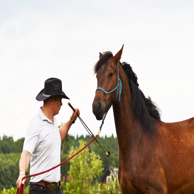cover art for Gubben Med Hatten #39 - đïž Sadlar, sjĂ€lar och skitsnack â om energi, utrustning och allt dĂ€remellan