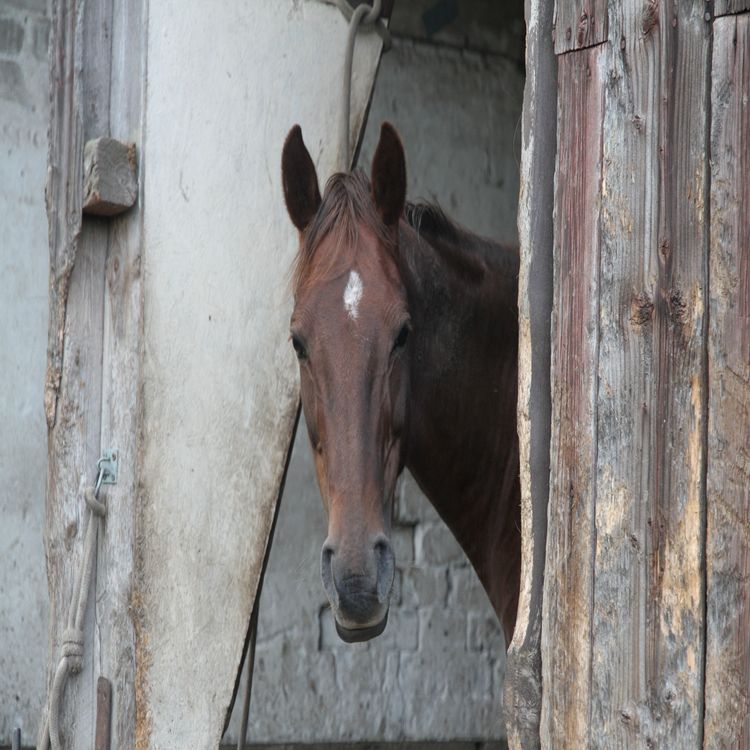 cover art for Gubben Med Hatten #44 - Kontakt, Connection & Den Stora Frågan om Lek