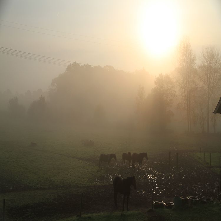 cover art for Gubben Med Hatten #45 – Vinterhästhållning, lek & missförstånd