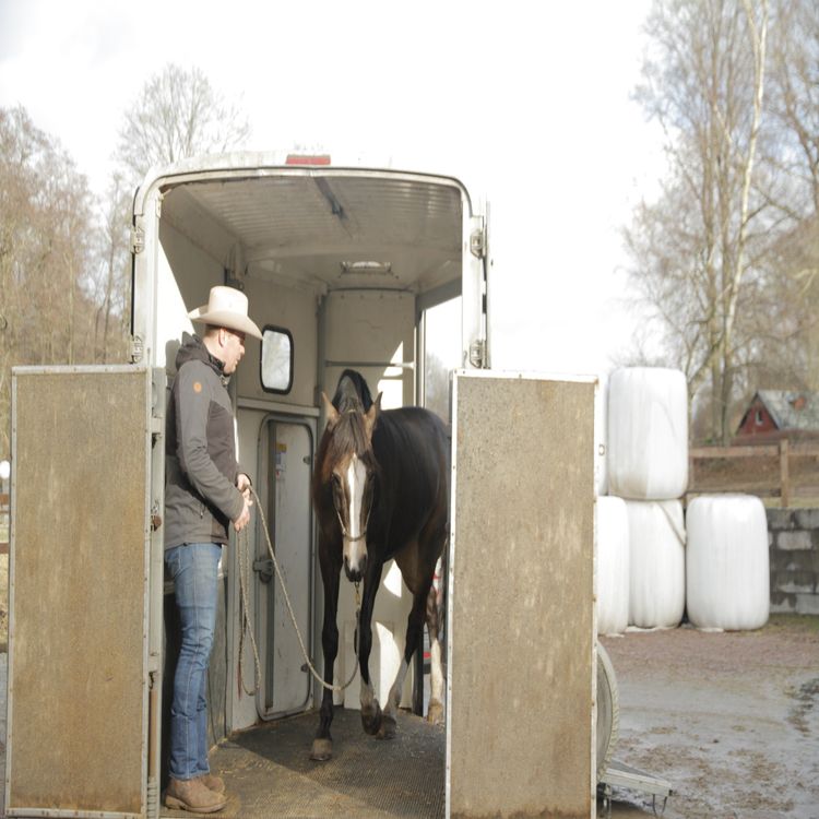 cover art for Gubben Med Hatten #46 - Julavsnittet 2025