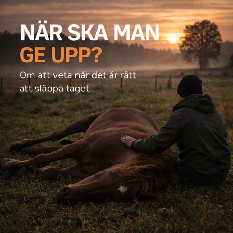 cover art for Gubben Med Hatten #53 – När ska man ge upp?