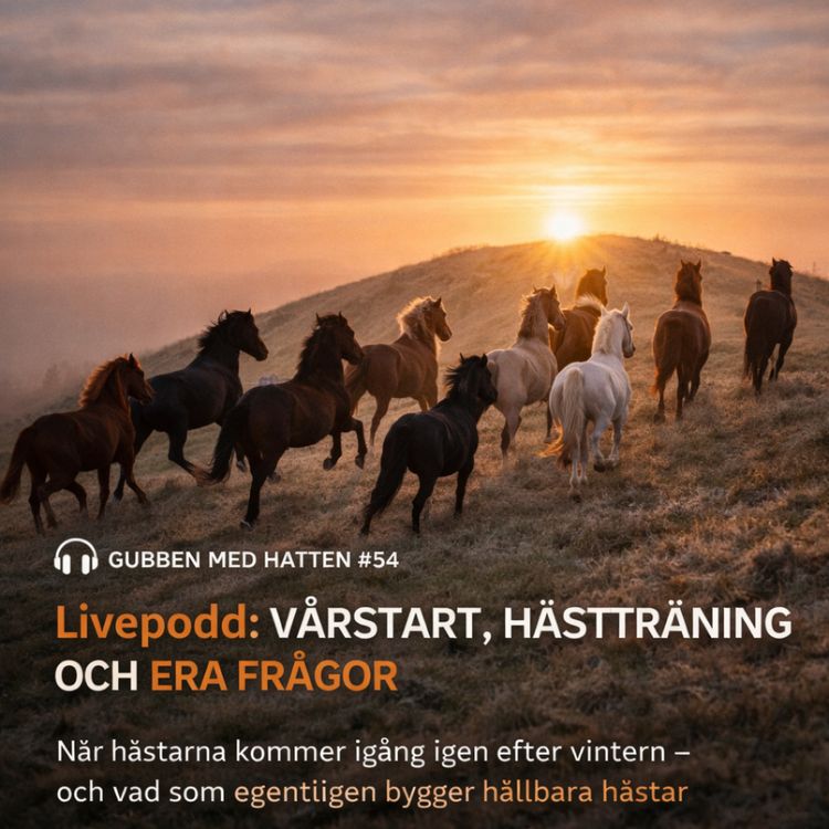 cover art for  Gubben Med Hatten #54 – Live podd mars 2026 - Vårstart, hästträning och era frågor