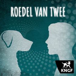 cover art for Roedel van twee