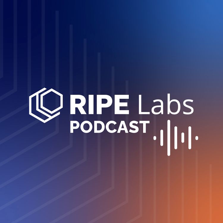 cover art for Making Digital Sustainability Make Sense