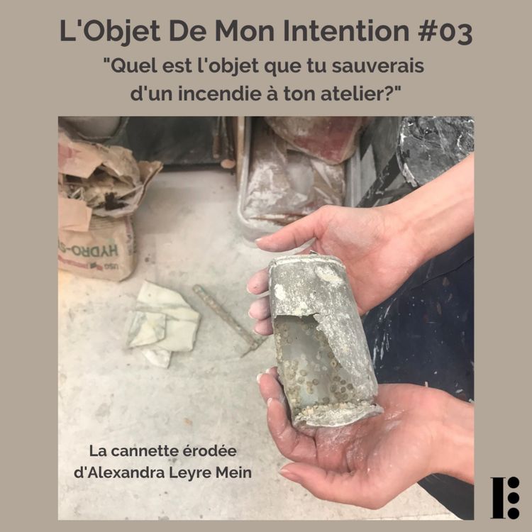 cover art for La cannette érodée d'Alexandra Leyre Mein