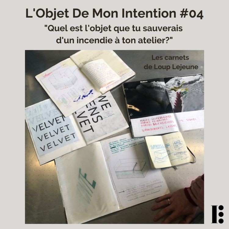 cover art for Les carnets de Loup Lejeune