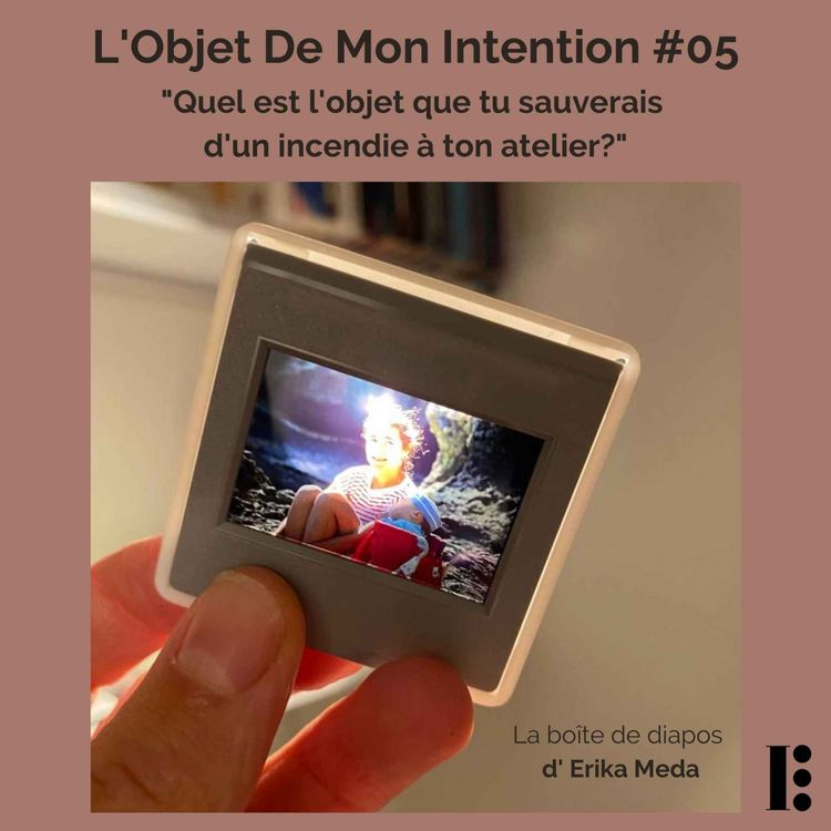 cover art for La boîte de diapos d'Erika Meda